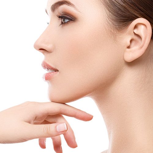 Nose