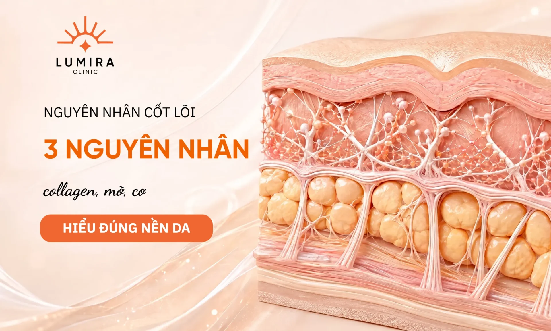 Nguyên Nhân Làm Da Mặt Chảy Xệ: Collagen, Mỡ Và Dây Chằng