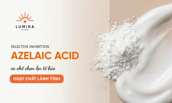 Đặc tính dược lý của Azelaic Acid 20% trong việc làm mờ thâm nám cho nền da nhạy cảm