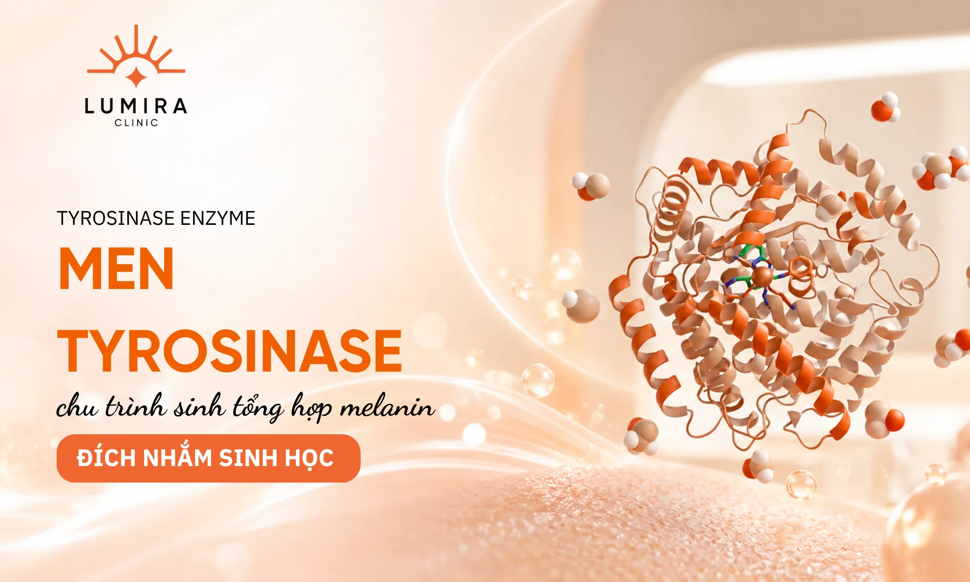 Phân loại 5 nhóm hoạt chất ức chế men Tyrosinase kinh điển trong da liễu học hiện đại