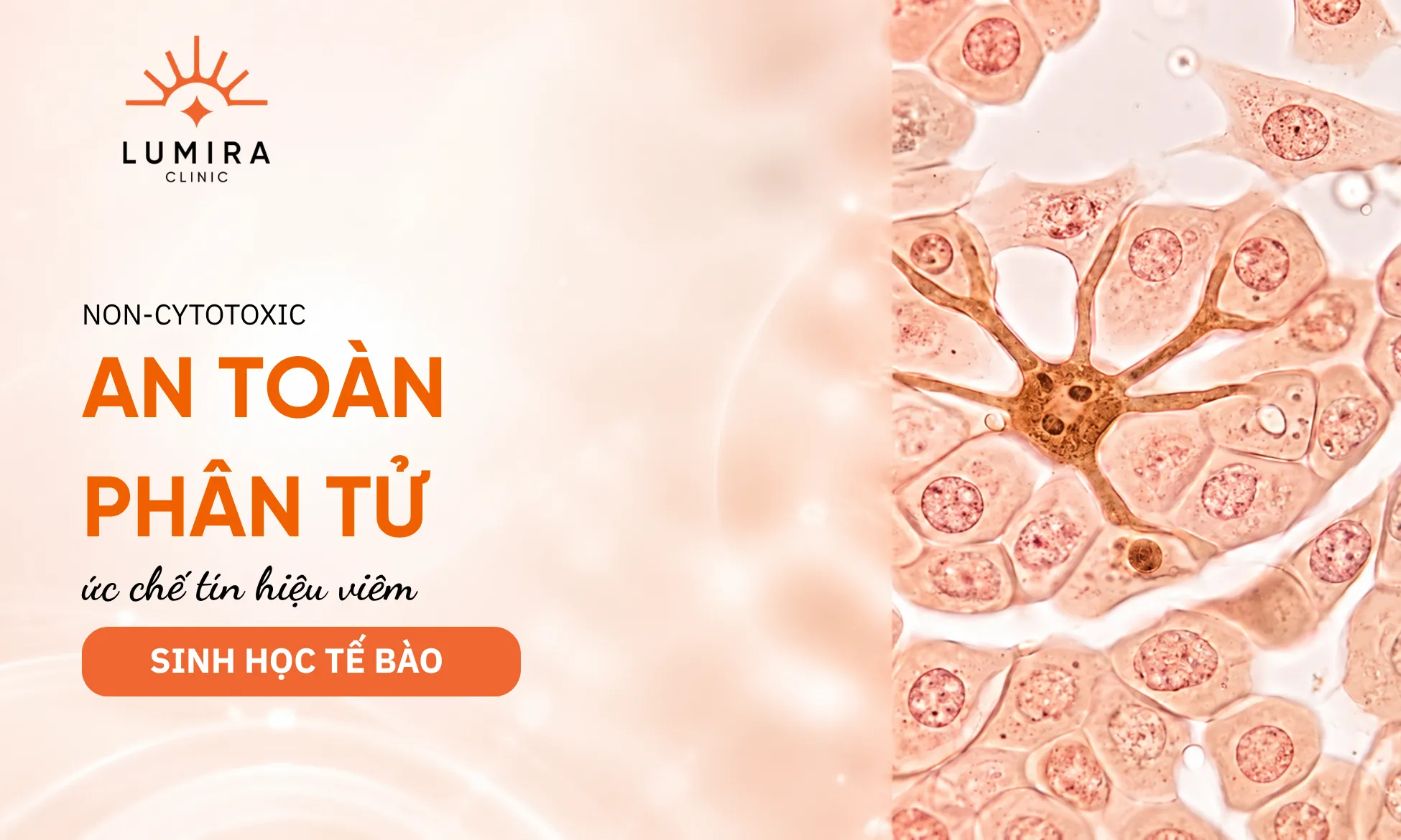 Tranexamic Acid Tri Nam 2