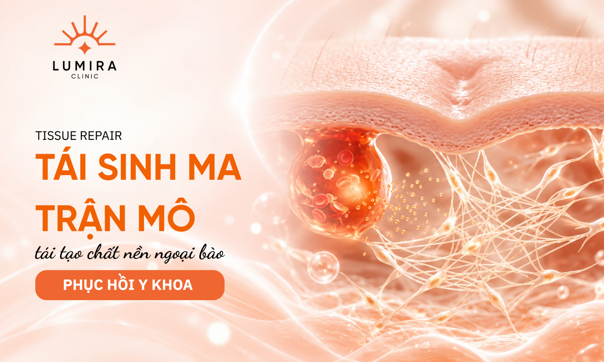 Co che phuc hoi mo va tang sinh collagen trong dieu tri mun boc - Lumira Clinic